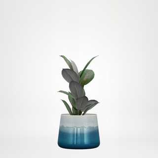 redecor-img