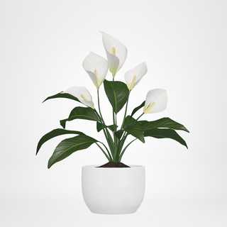 redecor-img