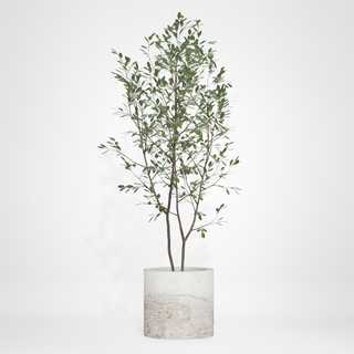redecor-img