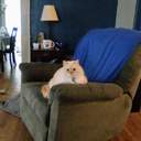 redecor-img