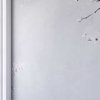redecor-img